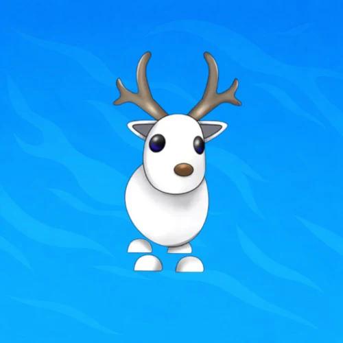 NFR Arctic Reindeer