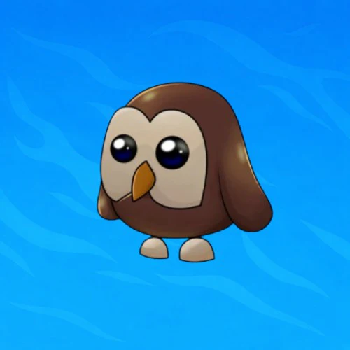 NFR Owl